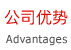 公司优势